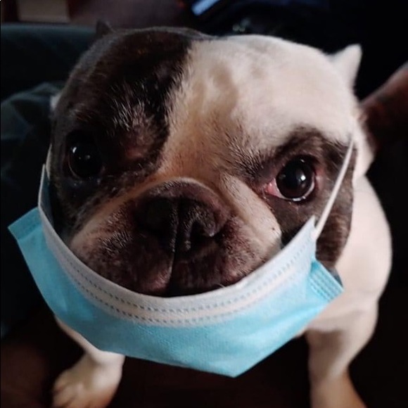 BUNDLE AND SAVE OR MAKE ME AN OFFER 🌺♥️🌷 - Picture 3 of 16